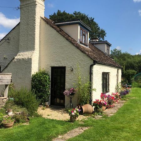 Chaseborough Farm Bed & Breakfast Verwood ภายนอก รูปภาพ