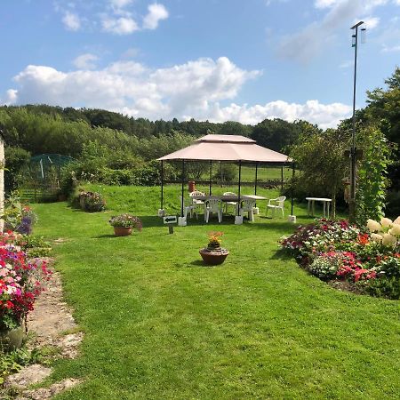 Chaseborough Farm Bed & Breakfast Verwood ภายนอก รูปภาพ