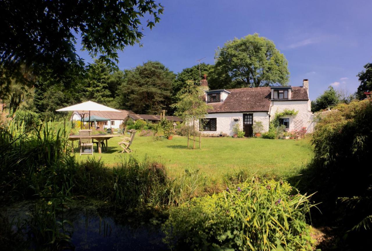 Chaseborough Farm Bed & Breakfast Verwood ภายนอก รูปภาพ