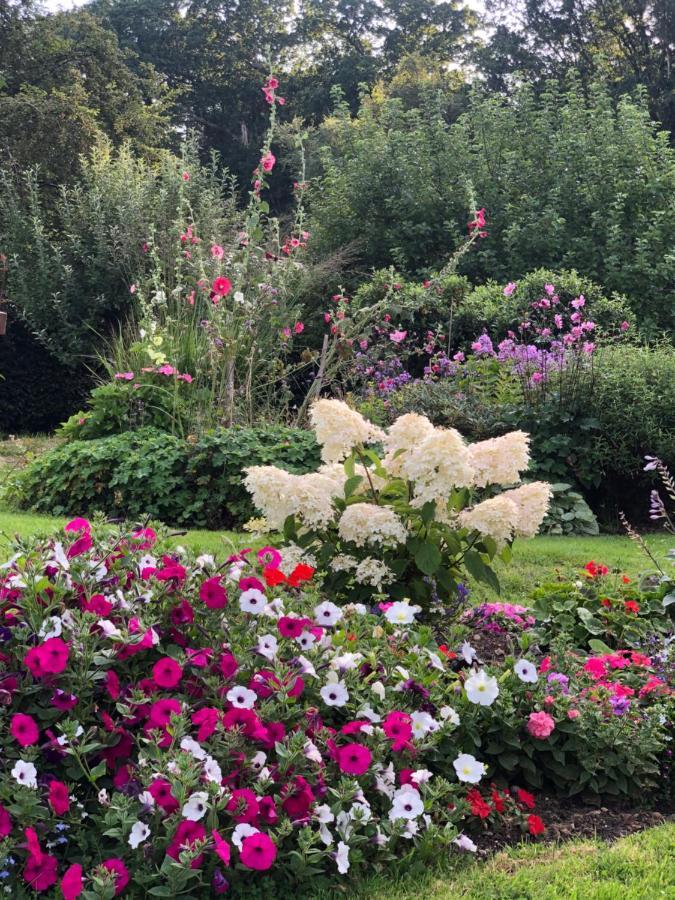 Chaseborough Farm Bed & Breakfast Verwood ภายนอก รูปภาพ
