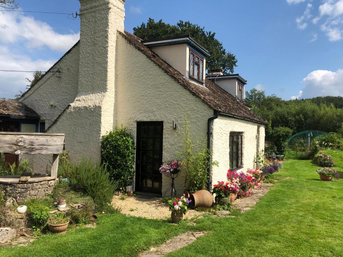 Chaseborough Farm Bed & Breakfast Verwood ภายนอก รูปภาพ