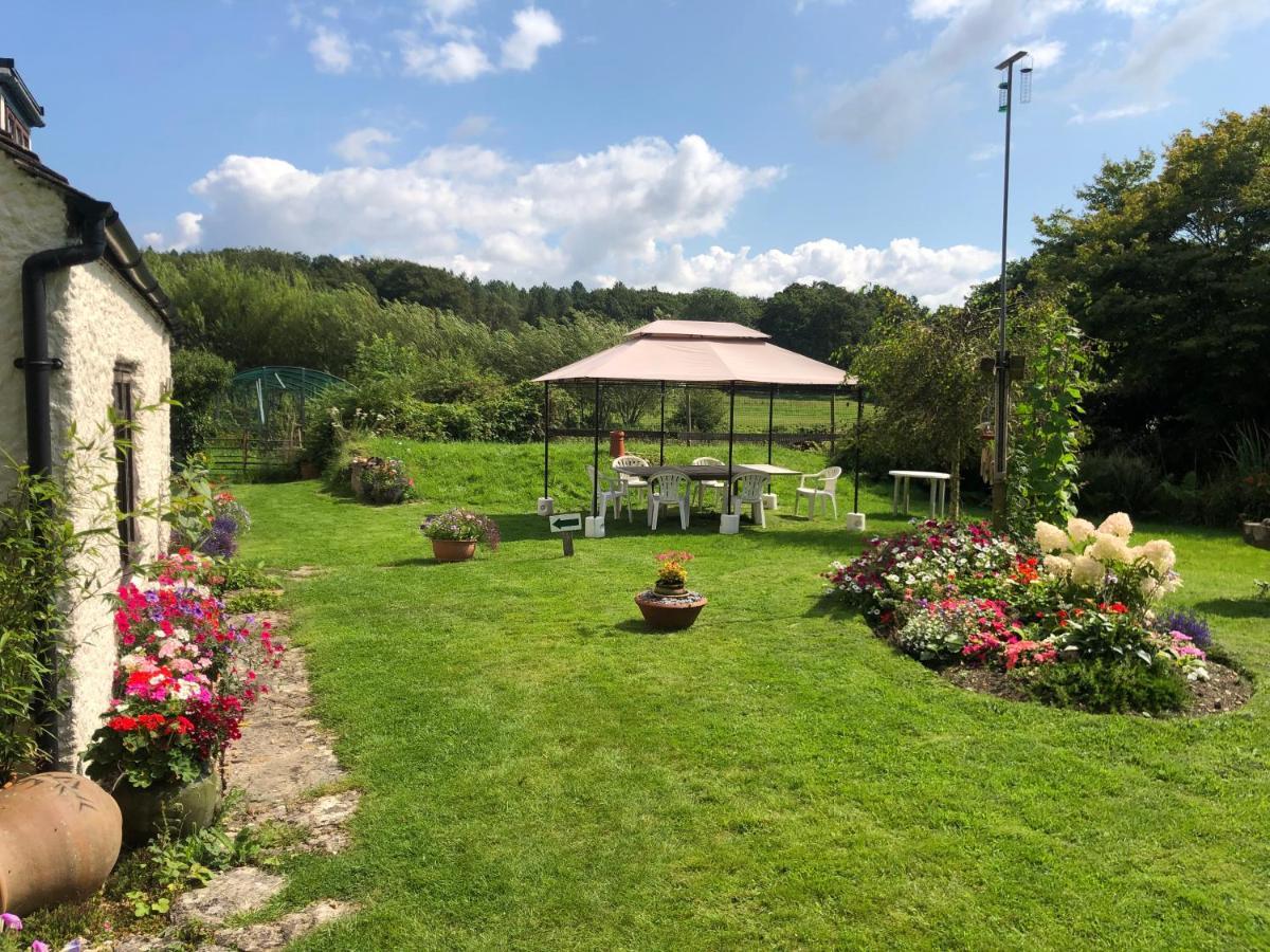 Chaseborough Farm Bed & Breakfast Verwood ภายนอก รูปภาพ