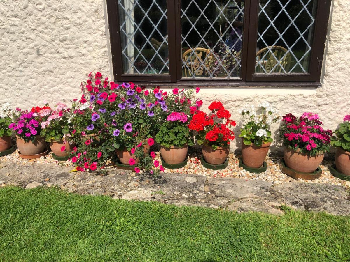 Chaseborough Farm Bed & Breakfast Verwood ภายนอก รูปภาพ