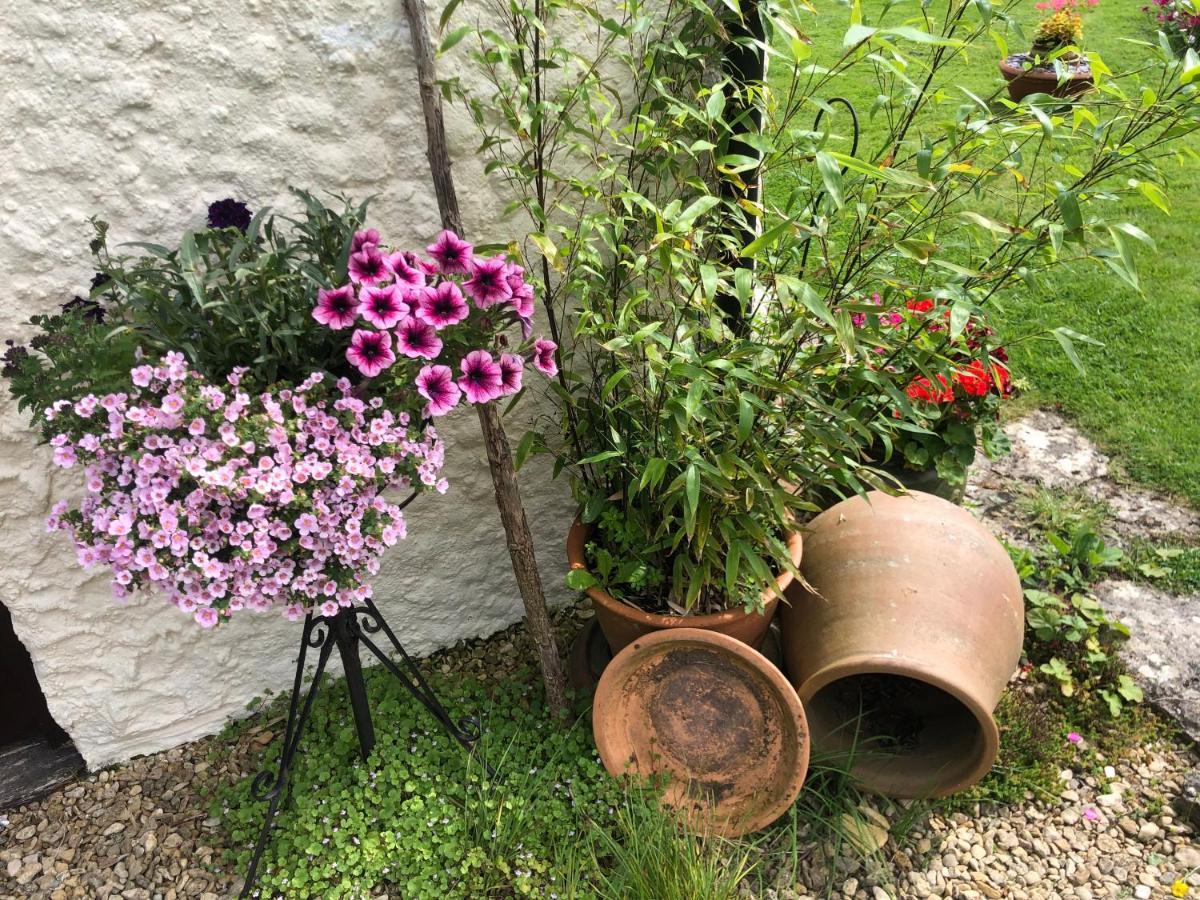 Chaseborough Farm Bed & Breakfast Verwood ภายนอก รูปภาพ